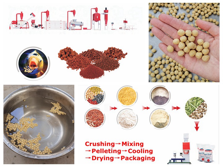 <h3>Fish Feed Making Machine, Fish Feed Extruder Machine, Fish </h3>
